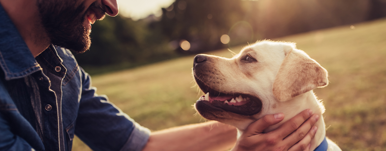 American Kennel Club Unleashes Efficiency