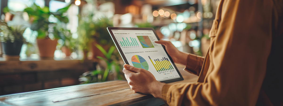 Bi Based Reporting For Sage