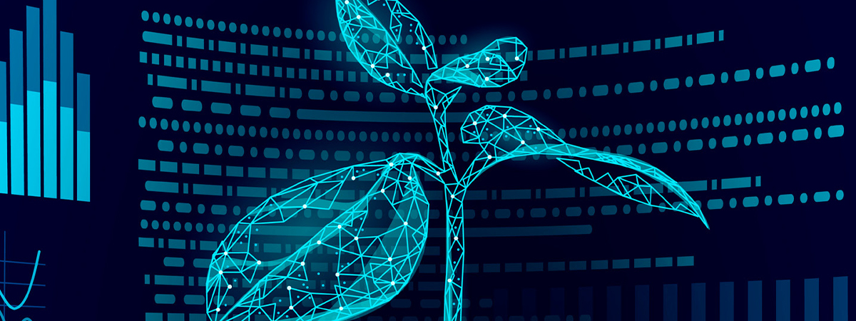 Digital Transformation Tools