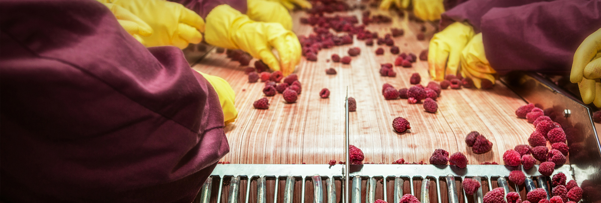Food Mfg Blog 2
