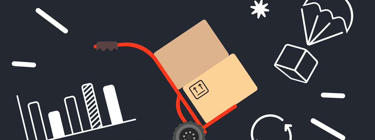 Netsuite Distribution Success