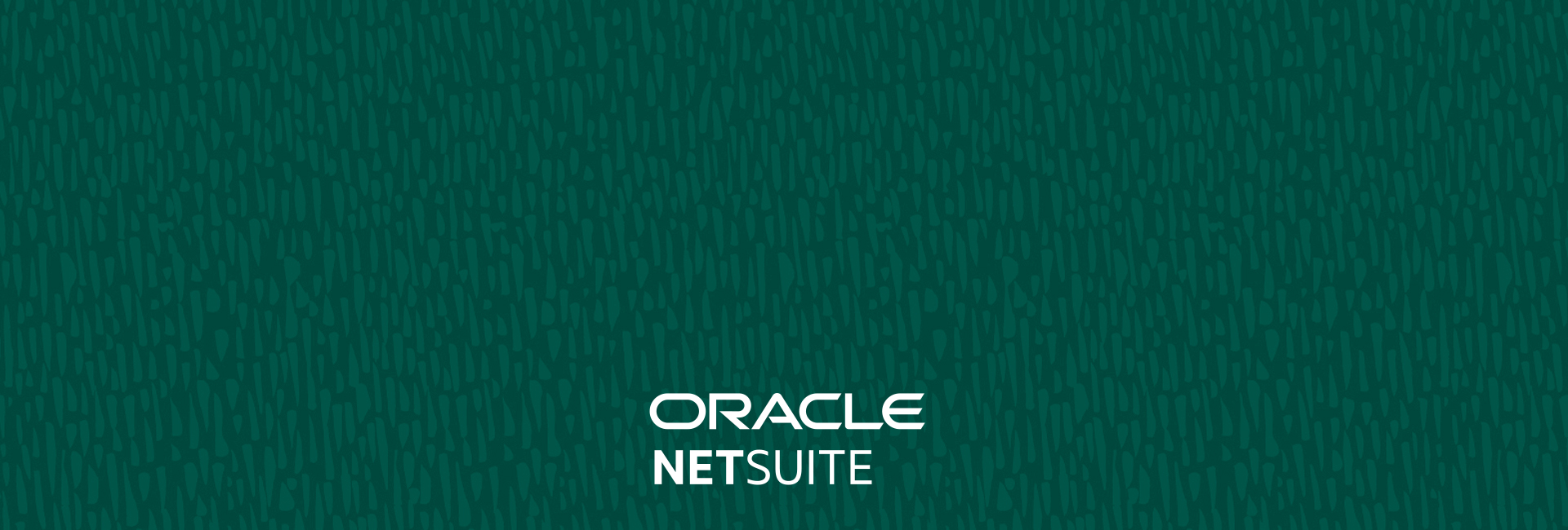 Netsuite Generic 14
