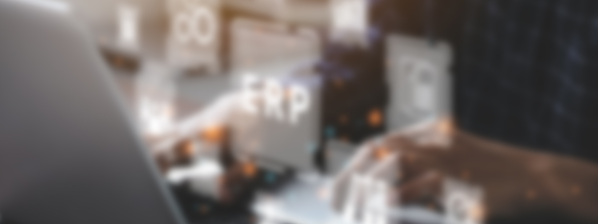 New Tech Legacy Erp Blank 1