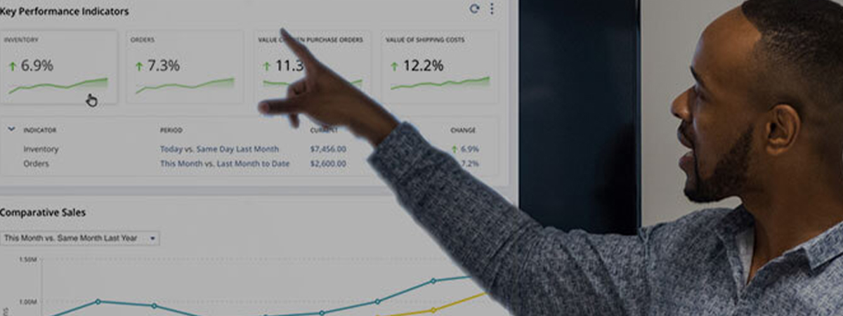 Ns Suiteanalytics 2