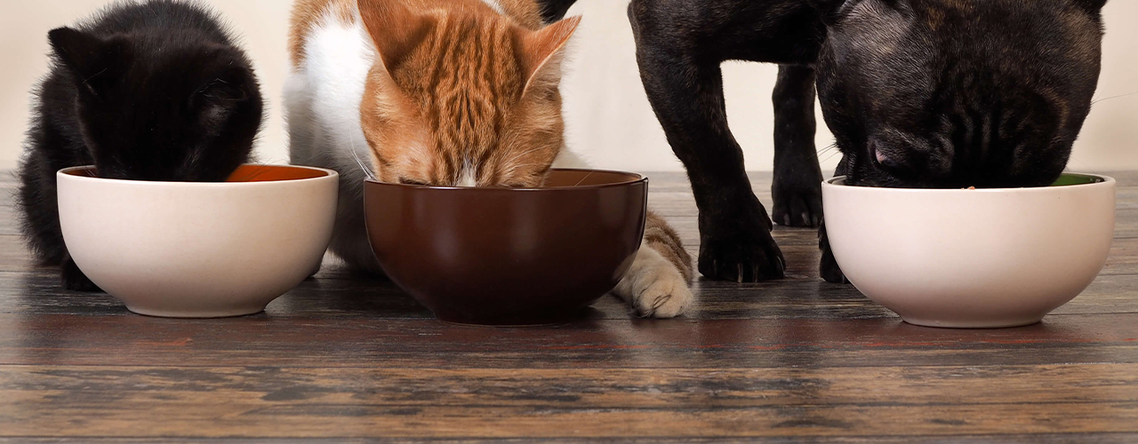 Pet Food Mfg Sage X3 2 1