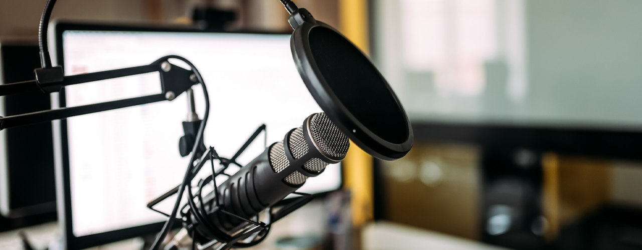 Profit From Erp Podcast 2