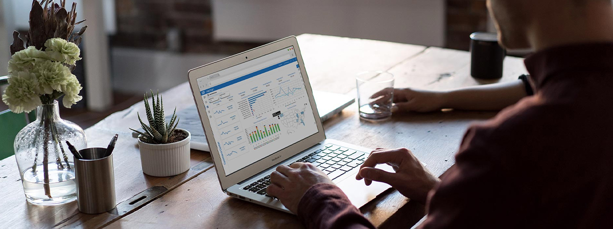 Sage Bi Reporting Overview