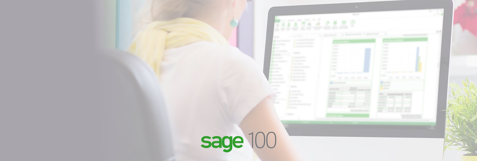 Sage Training Series 100 1