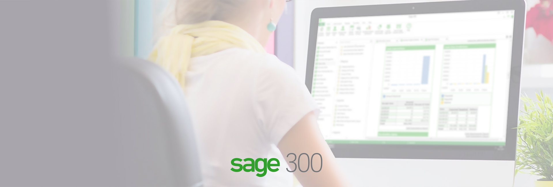 Sage Training Series 300 2