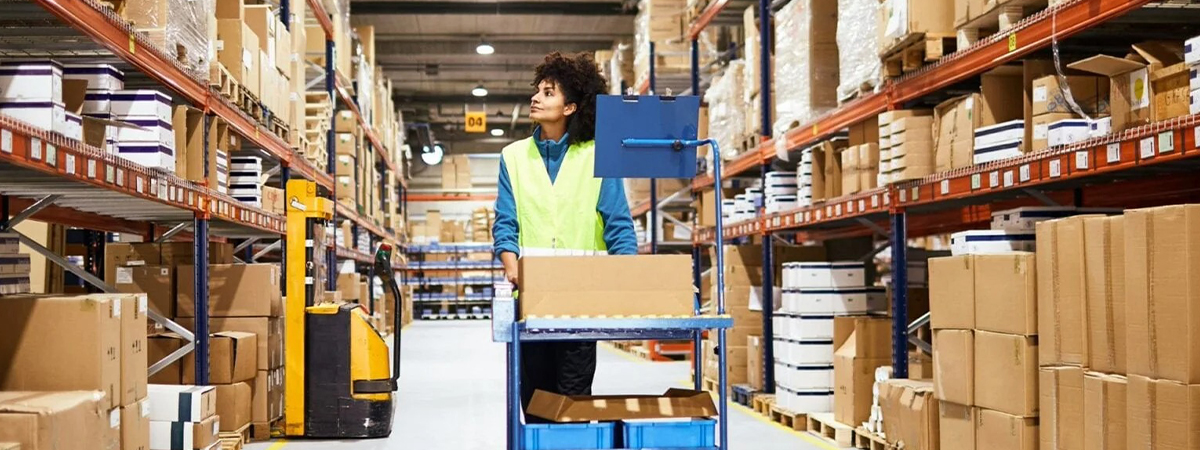 Sage X3 Sps Fulfillment