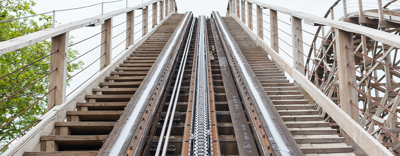 Supply Chain Rollercoaster 2