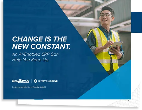 Ai Enabled Erp Pages Copy