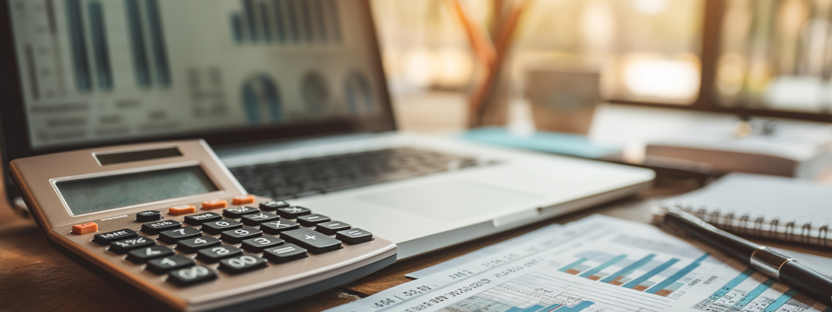 Sage 100 Martus Budgeting