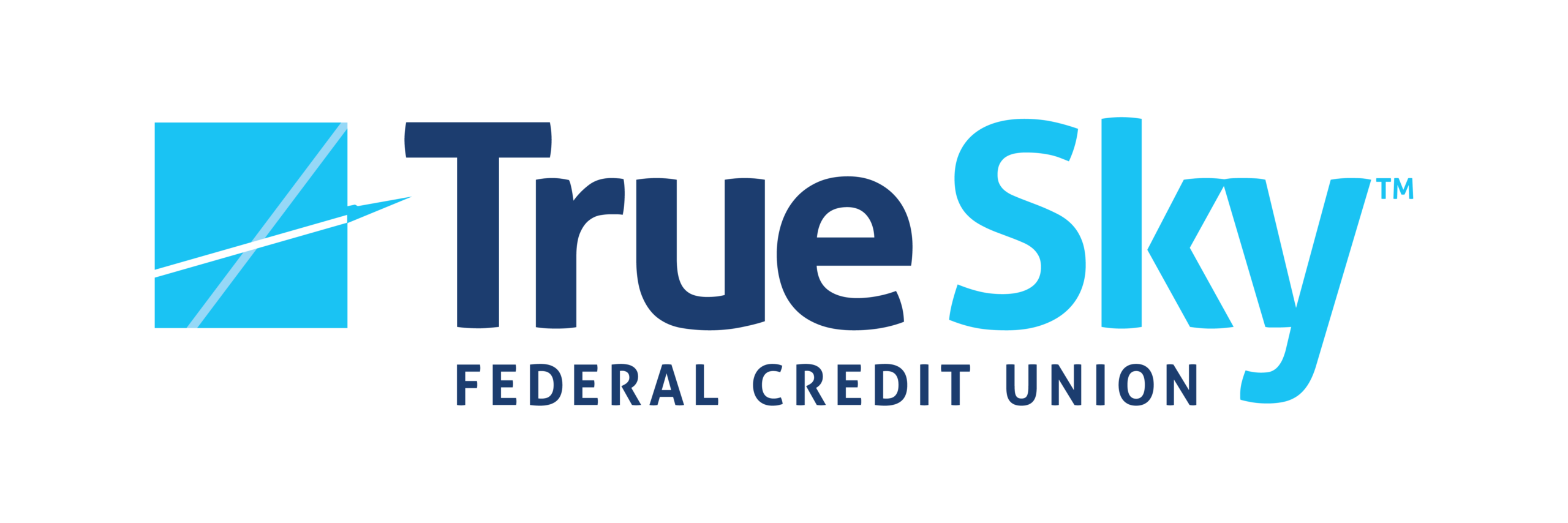 TrueSky Logo Scaled 1